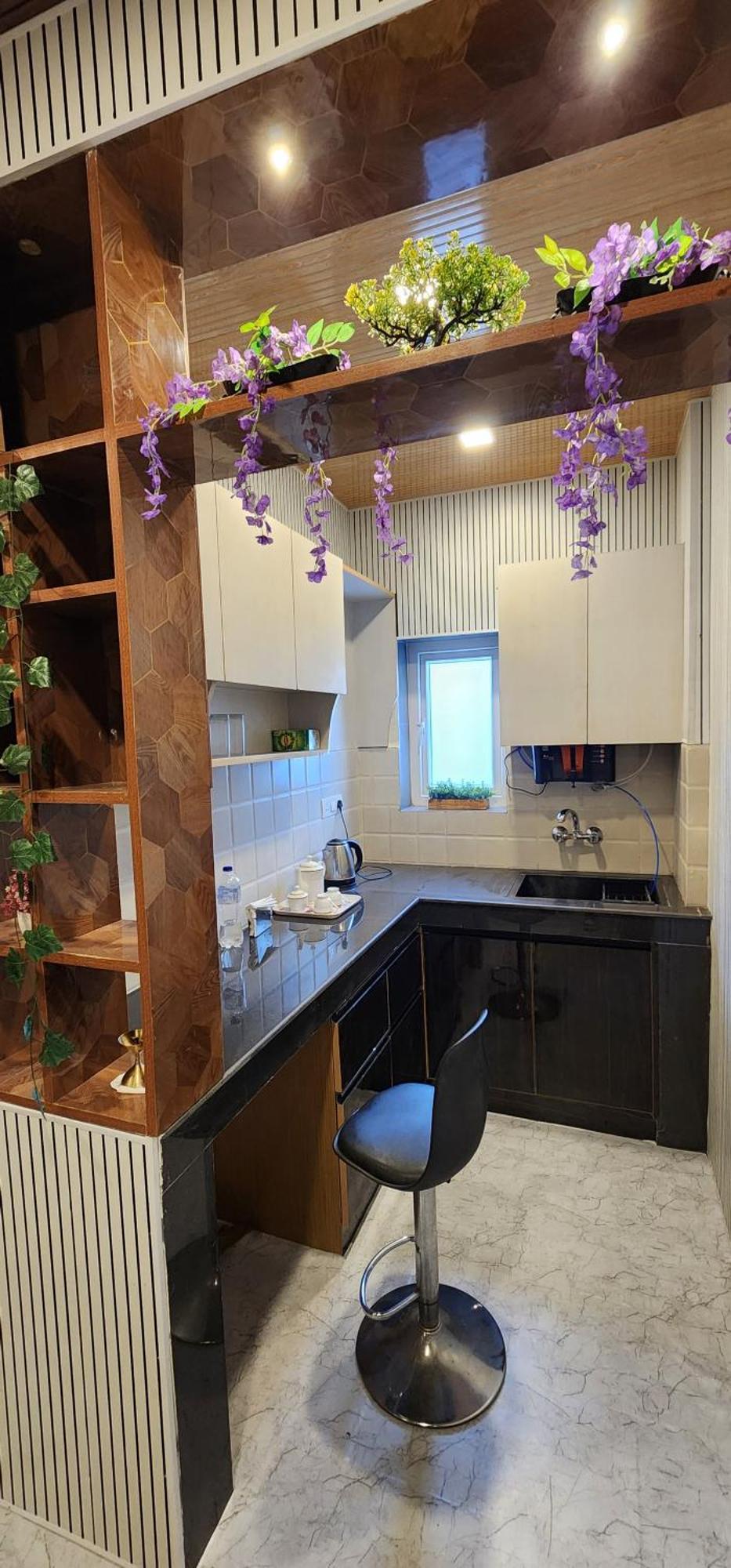 The Butterfly Effect Apartment